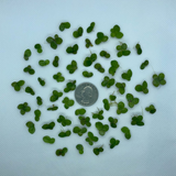 Compare quantity of Giant Duckweed to the size of a quarter