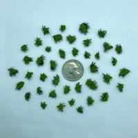 Compare quantity of plants to the size of a quarter